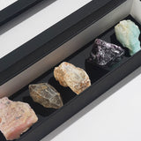 Specimen Set C - Gaea