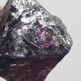 Specimen Set C - Gaea