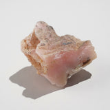 Specimen Set C - Gaea