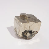 Pyrite Specimen D - Gaea