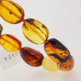 Baltic Amber Tumble - Gaea | Crystal Jewelry & Gemstones (Manila, Philippines)