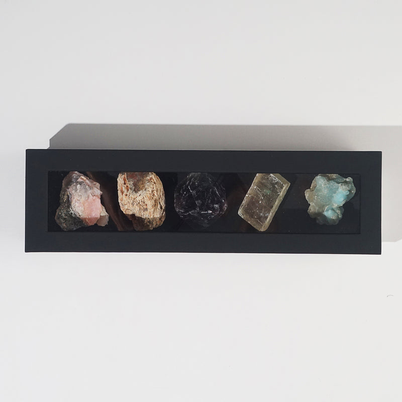 Specimen Set B - Gaea