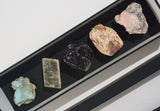 Specimen Set B - Gaea