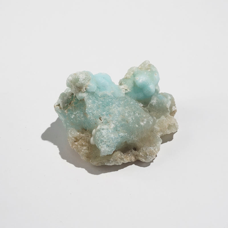 Specimen Set B - Gaea