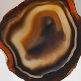 Agate Geode - Gaea